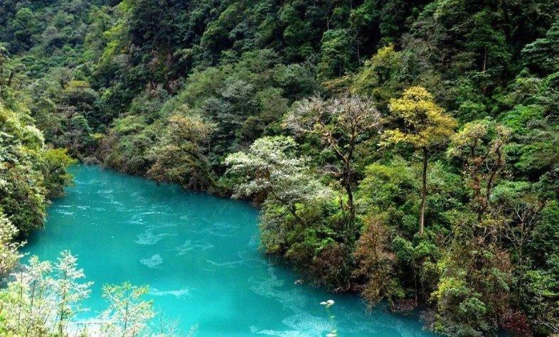 稻花香52度白酒铁合装多少钱一瓶游戏画面
